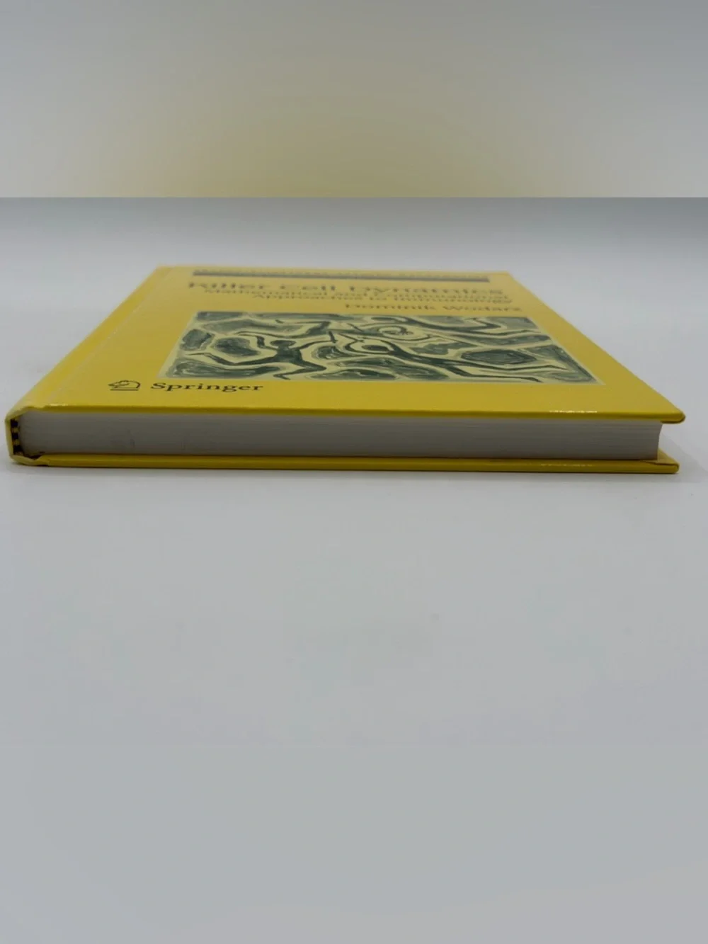 Killer Cell Dynamics: Mathematical and Computational Approaches to Immunology HC